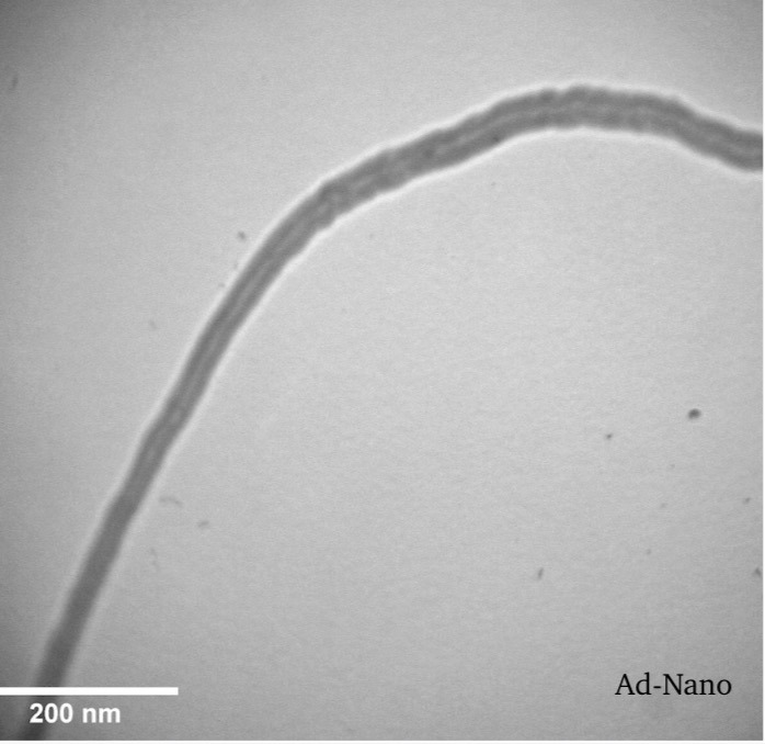 Multi Walled Carbon Nanotubes - Multi Walled Carbon Nanotubes