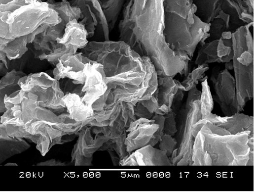 sem image of reduced graphene oxide